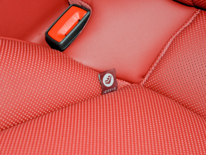 2022Panamera 4 E-Hybrid 2.9T g