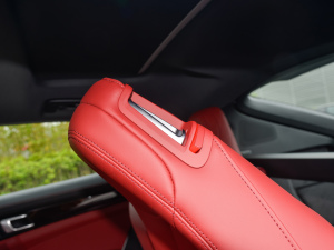 2022Panamera 4 E-Hybrid 2.9T g