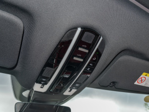 2022Panamera 4 E-Hybrid 2.9T п؅^