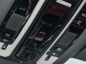 2022Panamera 4 E-Hybrid 2.9T п؅^