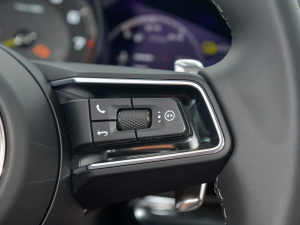 2022Panamera 4 E-Hybrid 2.9T п؅^