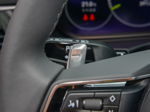 2022Panamera 4 E-Hybrid 2.9T п؅^