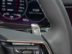 2022Panamera 4 E-Hybrid 2.9T п؅^