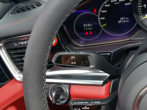 2022Panamera 4 E-Hybrid 2.9T п؅^