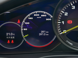 2022Panamera 4 E-Hybrid 2.9T п؅^(q)