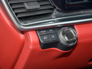 2022Panamera 4 E-Hybrid 2.9T п؅^(q)