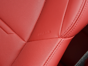 2022Panamera 4 E-Hybrid 2.9T п؅^(q)