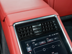 2022Panamera 4 E-Hybrid 2.9T п؅^(q)