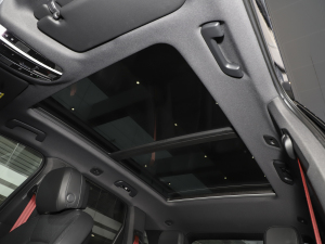 2023Cayenne 3.0T 촰