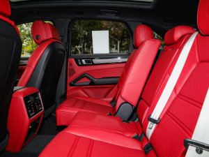 2023Cayenne 3.0T K g