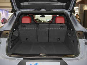 2023Cayenne Turbo GT 4.0T g