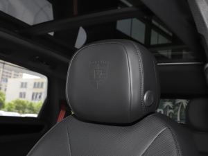 2023Cayenne E-Hybrid 2.0T K g