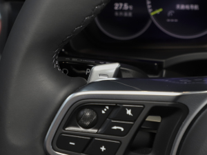 2023Cayenne E-Hybrid 2.0T K п؅^