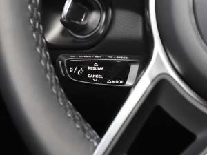 2023Cayenne E-Hybrid 2.0T K п؅^