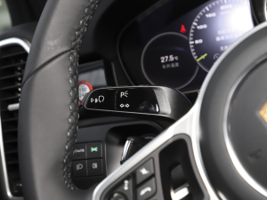 2023Cayenne E-Hybrid 2.0T K п؅^