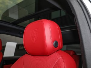 2023Cayenne E-Hybrid 2.0T g