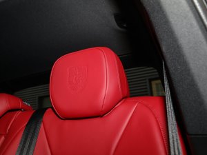 2023Cayenne E-Hybrid 2.0T g