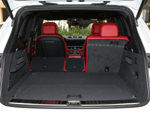 2023Cayenne E-Hybrid 2.0T g