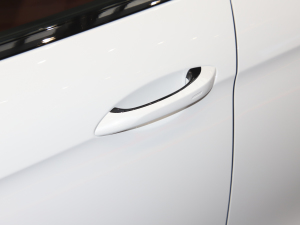 2023Panamera 4S L(zhng) 2.9T {T(mn)