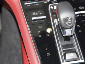 2023Panamera 4S L 2.9T g