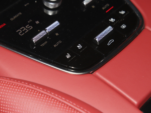 2023Panamera 4S L 2.9T g