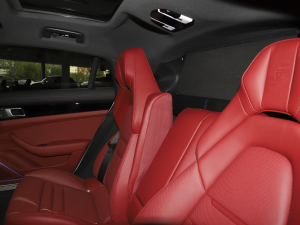 2023Panamera 4S L 2.9T g