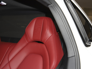 2023Panamera 4S L 2.9T g