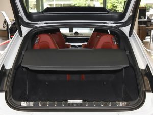 2023Panamera 4S L 2.9T g