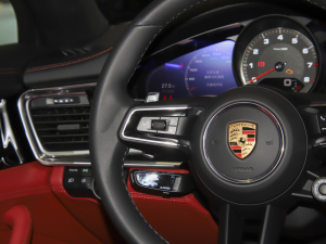 2023Panamera 4S L 2.9T п؅^