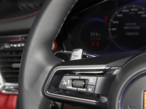 2023Panamera 4S L 2.9T п؅^
