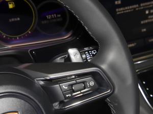 2023Panamera 4 Sport Turismo 2.9T п؅^