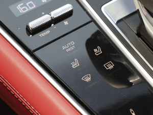 2023Panamera 4 LK 2.9T g