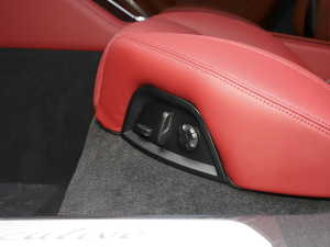 2023Panamera 4 LK 2.9T g