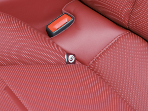 2023Panamera 4 LK 2.9T g