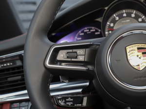 2023Panamera 4 LK 2.9T п؅^