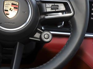 2023Panamera 4 LK 2.9T п؅^