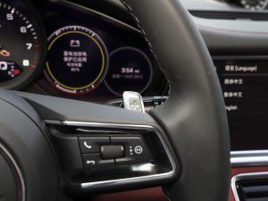 2023Panamera 4 LK 2.9T п؅^(q)