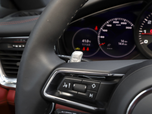 2023Panamera 4 LK 2.9T п؅^