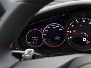 2023Panamera 4 LK 2.9T п؅^(q)