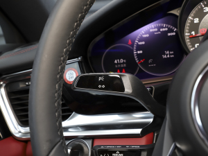 2023Panamera 4 LK 2.9T п؅^(q)