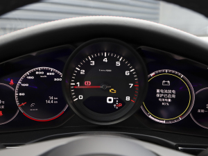 2023Panamera 4 LK 2.9T п؅^(q)