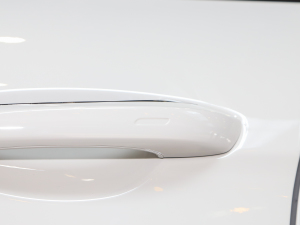 2023Panamera 2.9T (x)(ji)^