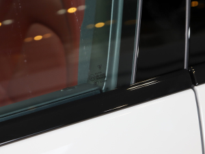 2023Panamera 2.9T (x)(ji)^