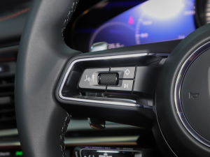 2023Panamera 2.9T п؅^