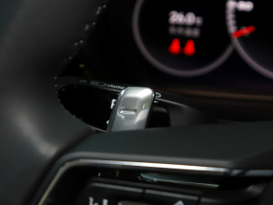 2023Panamera 2.9T п؅^