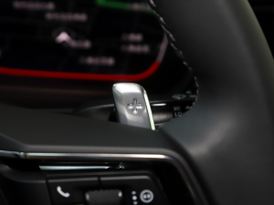 2023Panamera 2.9T п؅^