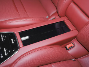 2023Panamera 4S 2.9T g