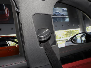 2023Panamera 4S 2.9T g