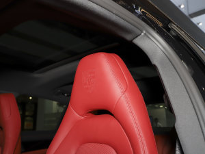 2023Panamera 4S 2.9T g