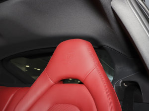 2023Panamera 4S 2.9T g